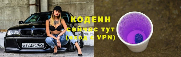 хмурый Белокуриха