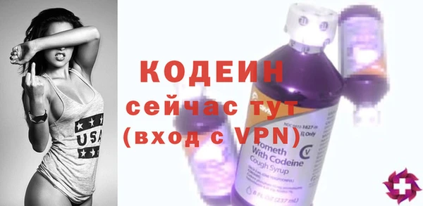 хмурый Белокуриха