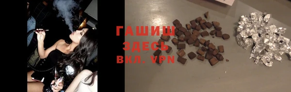 хмурый Белокуриха