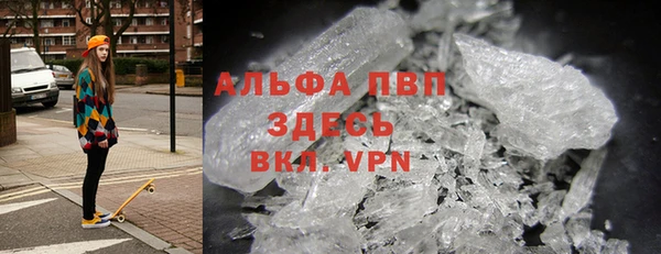 хмурый Белокуриха