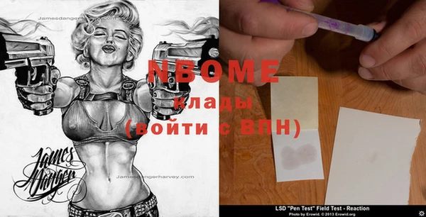 хмурый Белокуриха