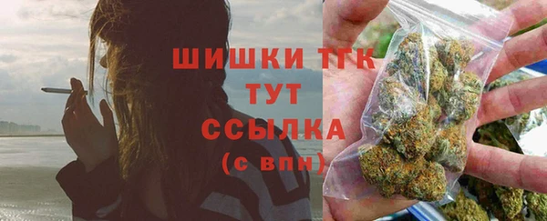 хмурый Белокуриха