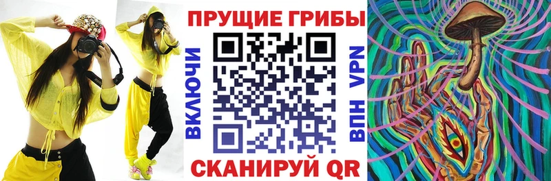 это какой сайт  Воткинск  Псилоцибиновые грибы MAGIC MUSHROOMS  как найти   кракен ССЫЛКА 